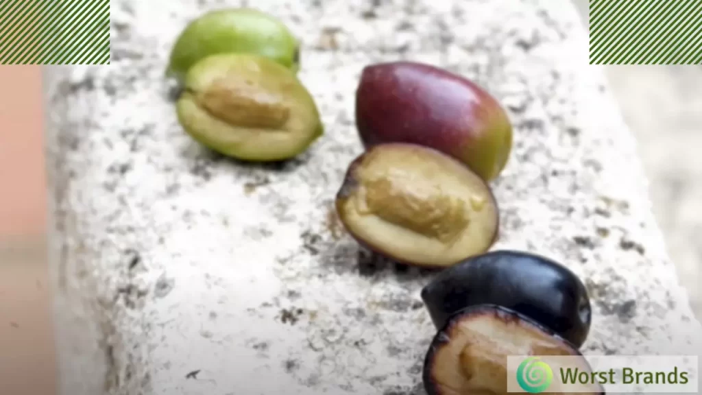 Light Olive Oil
