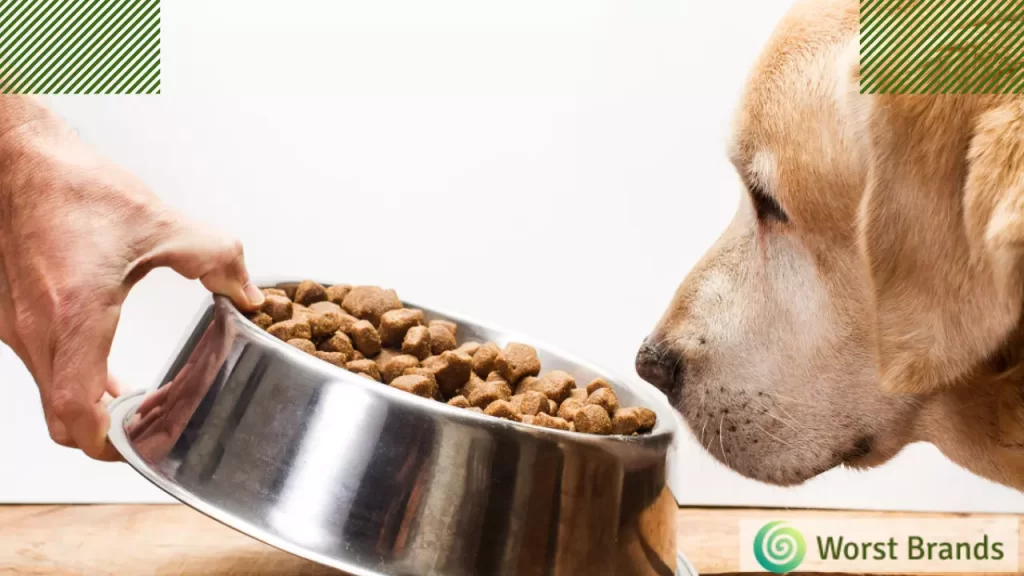 dog food brand to avoid