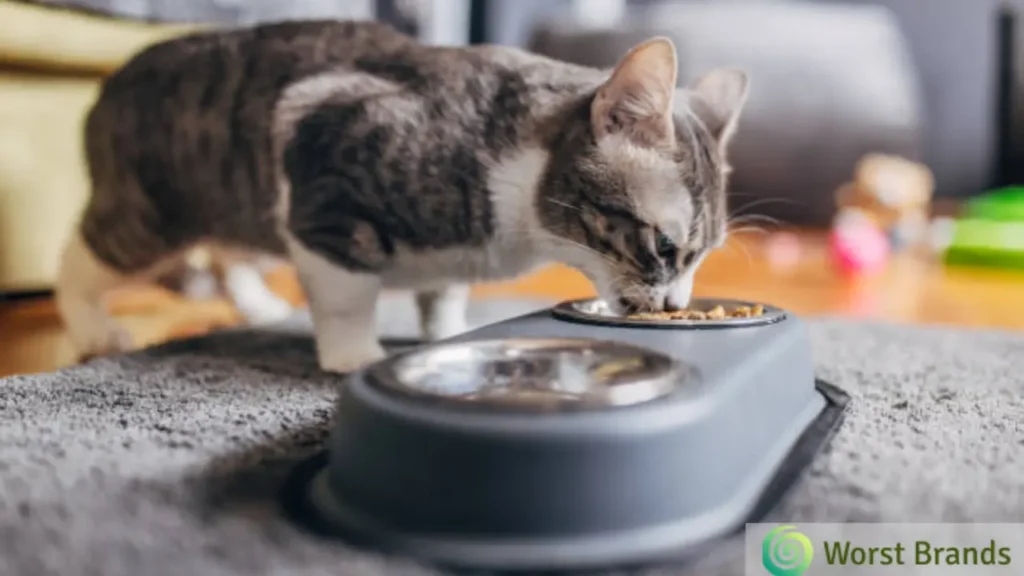 Reliable Cat Food Brands