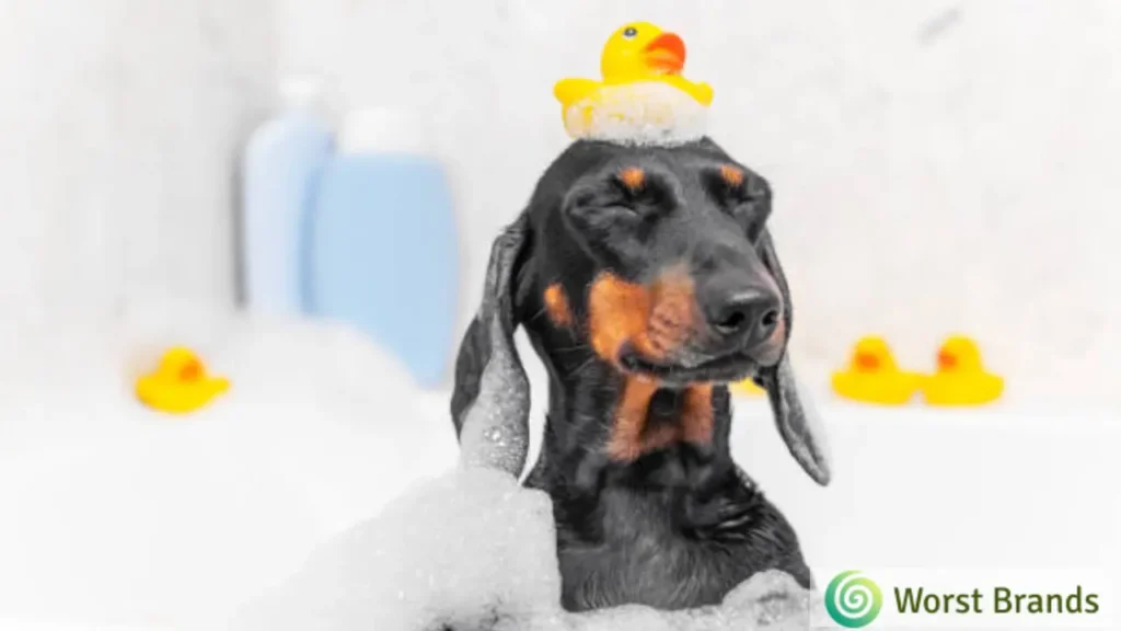 Worst Dog Shampoo Brands that Contain Bad Ingredients Worst Brands